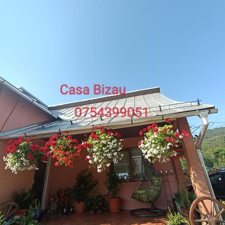 Hotel Casa Bizau Viseu de Mijloc Zewnętrze zdjęcie